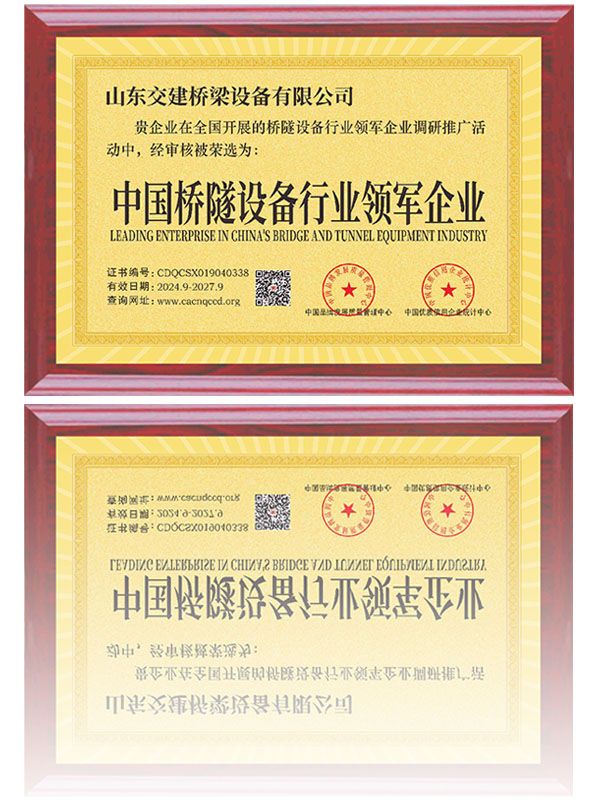 行業(yè)領(lǐng)軍企業(yè)